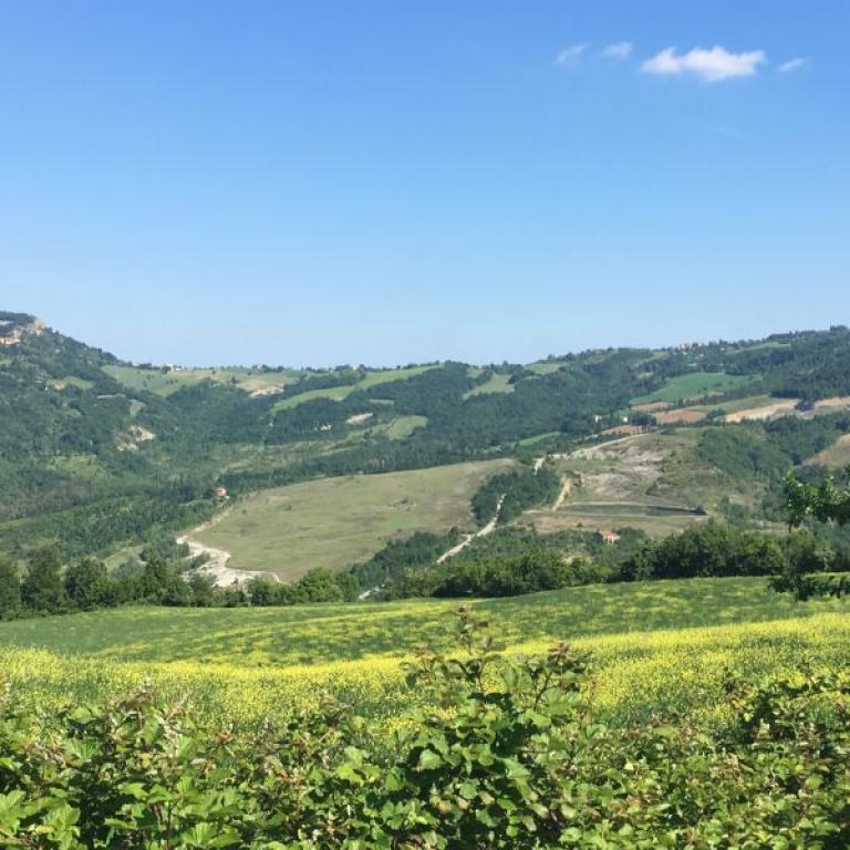 green landscape with flowers on Via degli Dei short