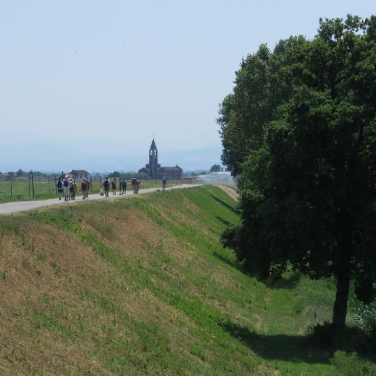 via francigena people walking to piacenza