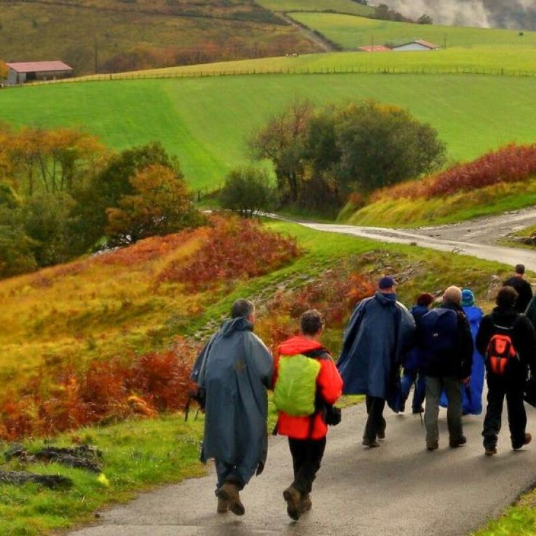 People walking on a nature-immersed path along the Portuguese Camino