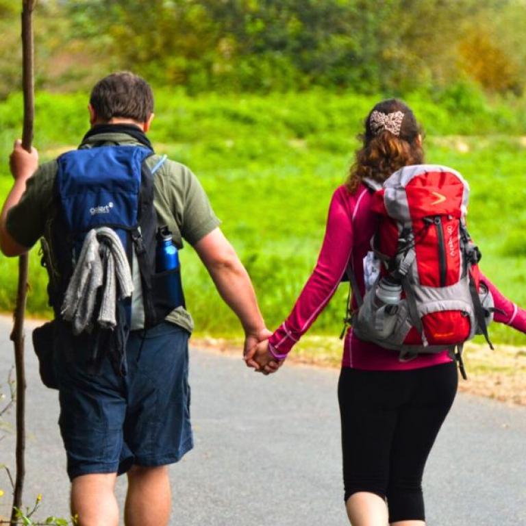 Walking on the Camino Portuguese: paved road, green meadow