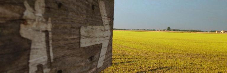 Cammino di Oropa Tappe segnavia nei campi