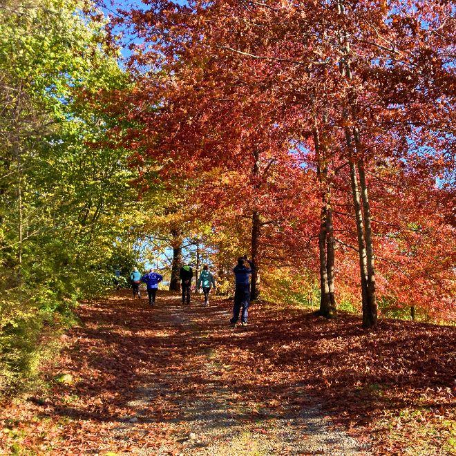 Camminatore lungo Sentiero di montagna nel Biellese lungo il Cammino di Oropa