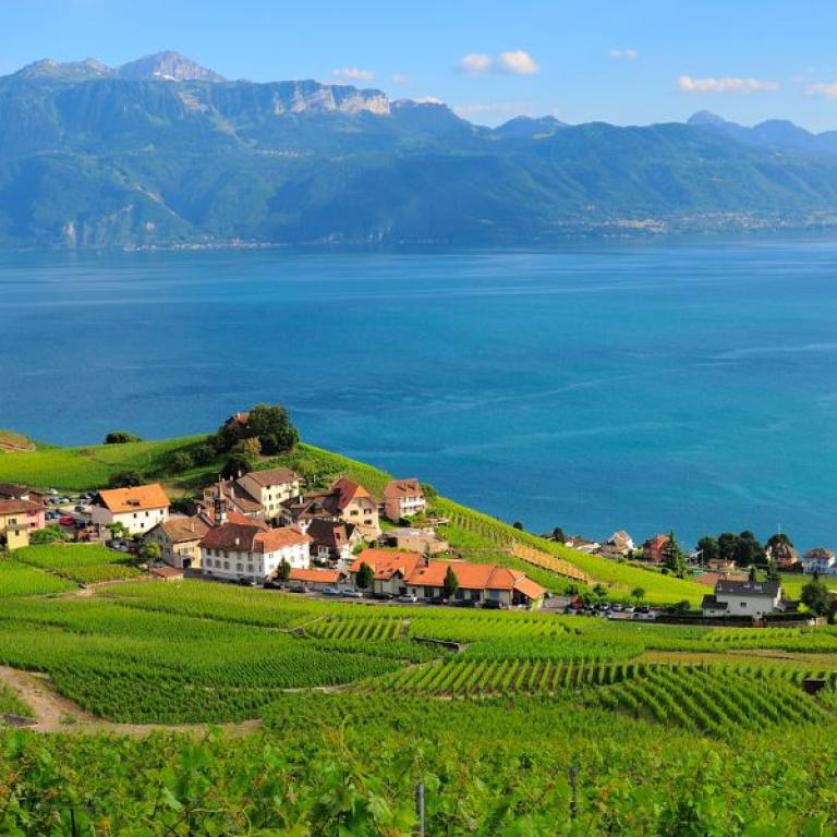 vigneti laveaux sul lago di losanna in svizzera