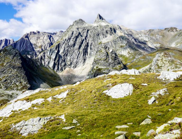 Sentiero escursionistico con fiori selvatici sulle Alpi svizzere