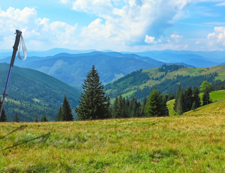 Trekking in Svizzera immersi nella natura selvaggia