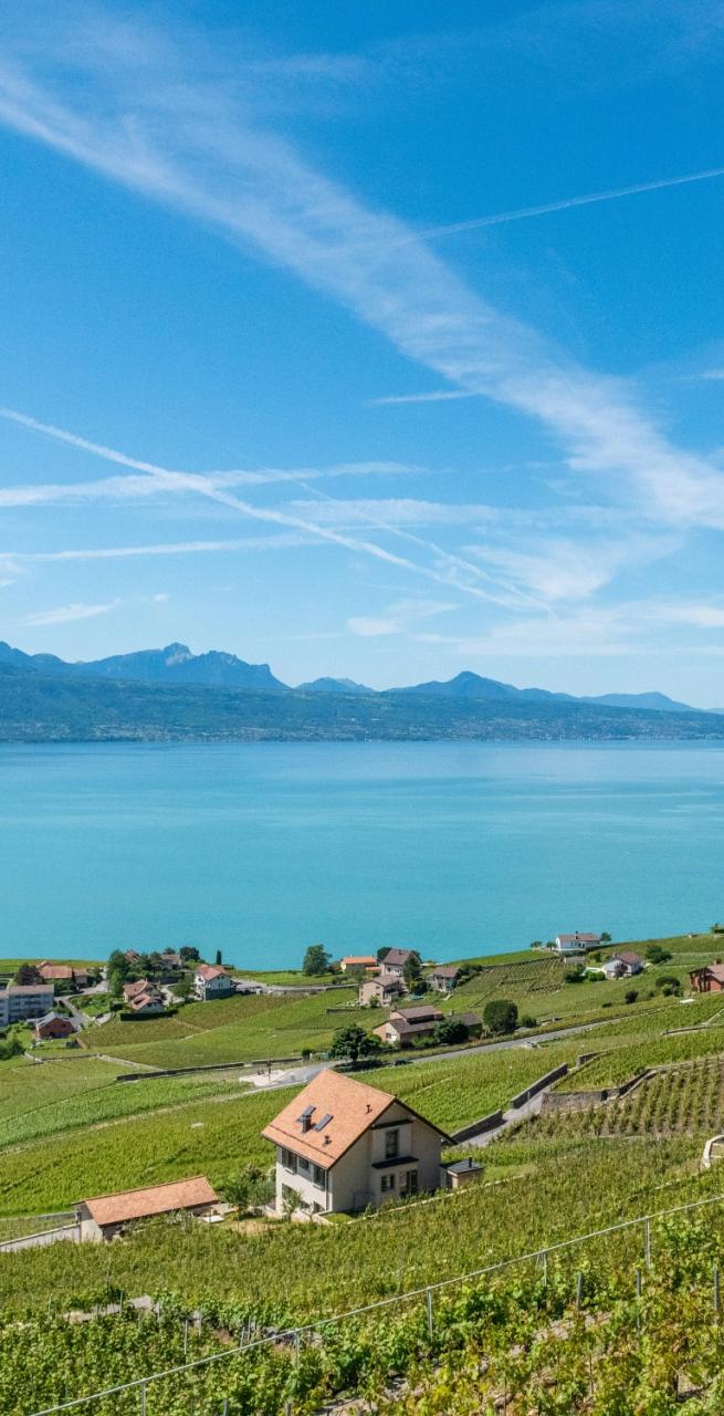 Sentiero di trekking in Svizzera tra le Alpi sulla francigena