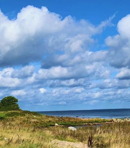 the landscape of swedish coast kulladen