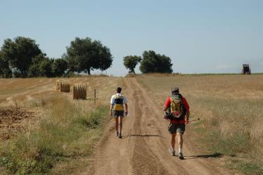 Via Francigena da Viterbo a Roma