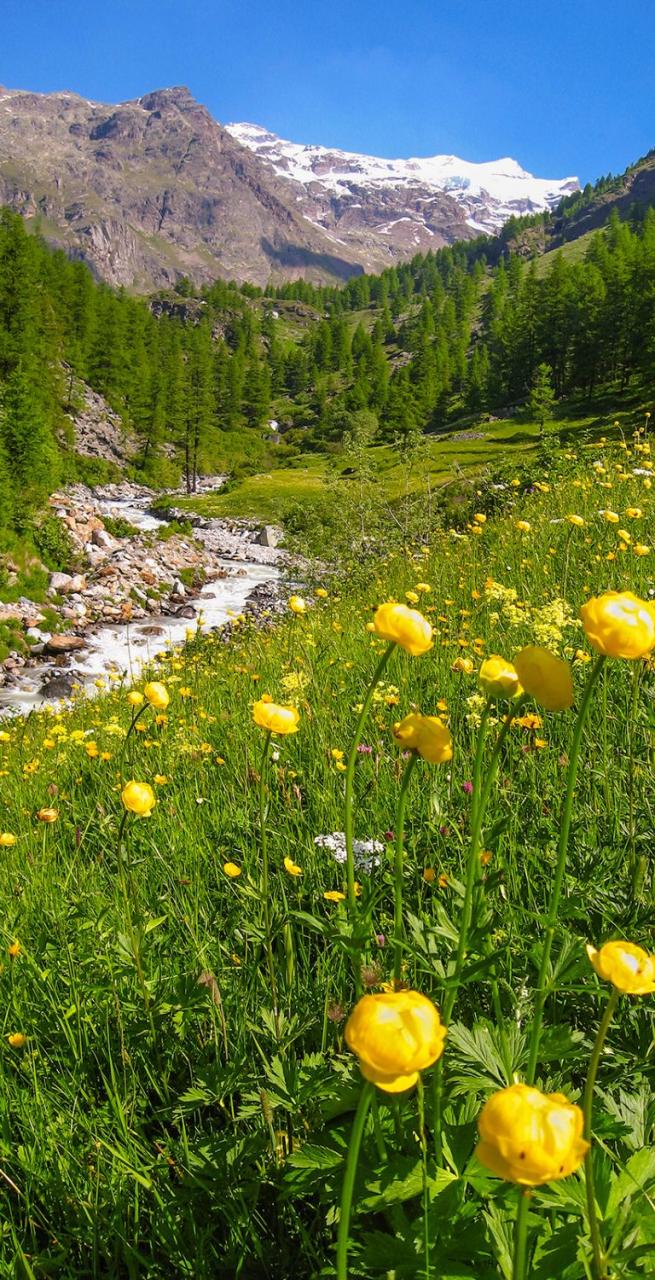 lys valley flower valley hiker