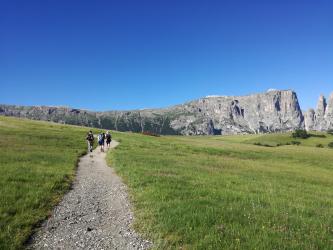 Il sentiero del castagno