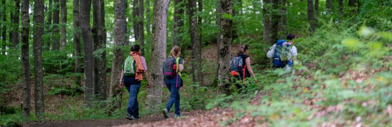 Gruppo di camminatori sulla Via degli Dei in Appennino