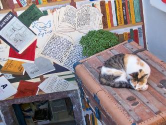 libri conciliare sogni