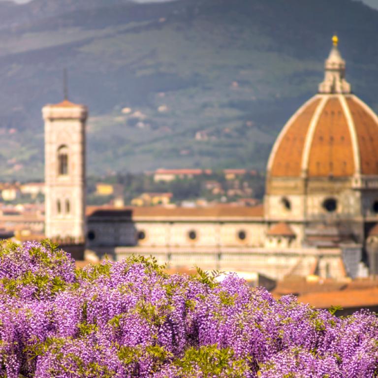 Cammino di San Jacopo flowers florence view dome