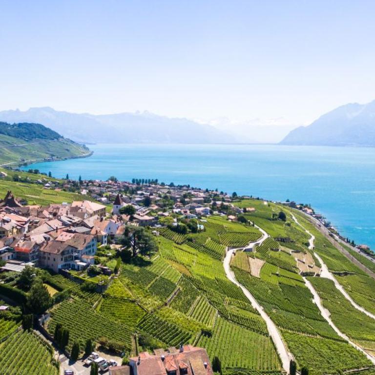 Vigneti terrazzati di Lavaux affacciati sul Lago Lemano, patrimonio UNESCO