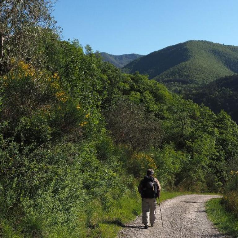 hiker on Saint Francis Way Florence Chiusi Verna 