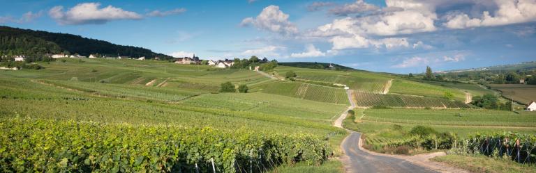marne valley champagne vineyard hills