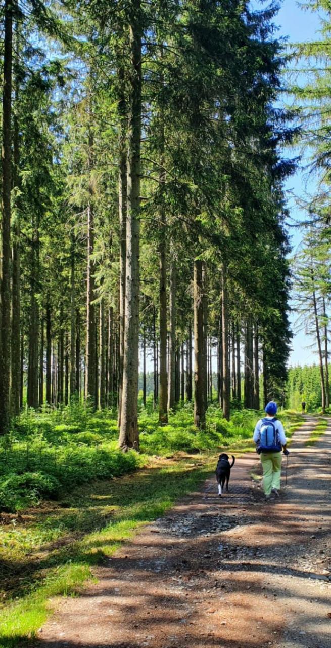 medieval castle of bouillon in belgian ardennes