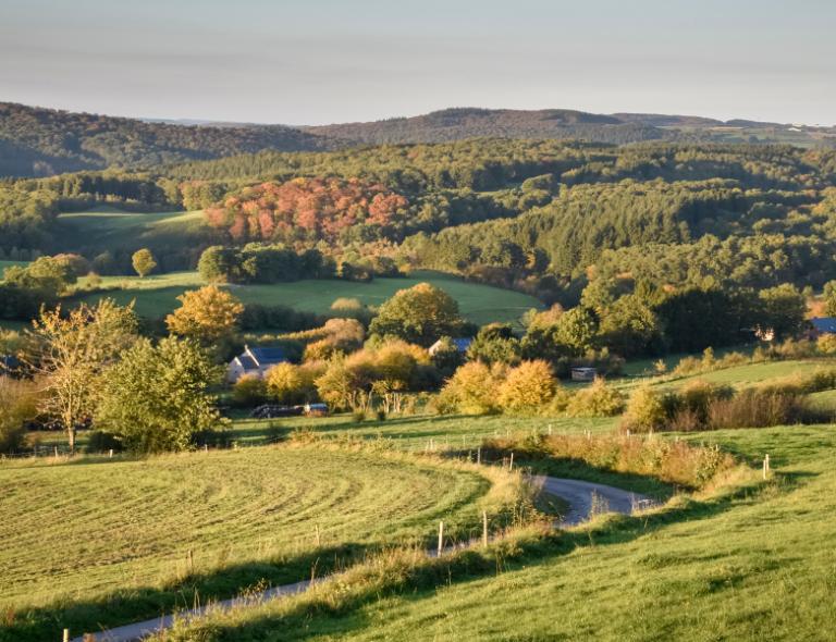 landscape of ardennes in belgium in fall