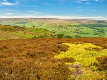 North York Moors National Park