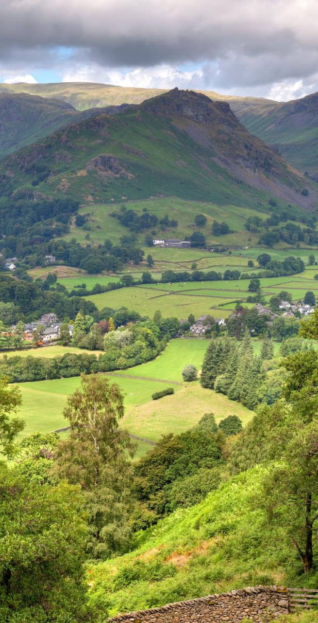 coas to coast grasmere landscape lush flora
