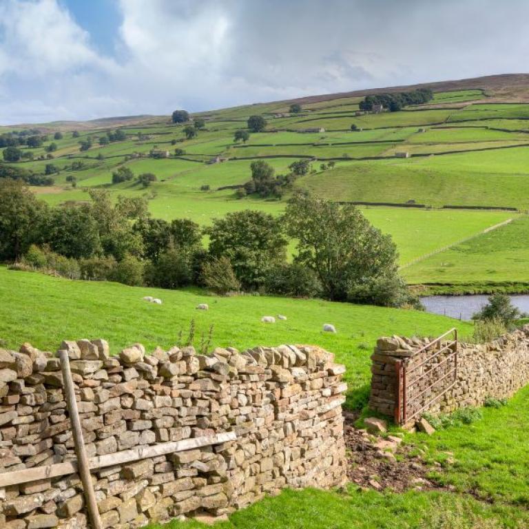 reeth stonewall on Coast to Coast