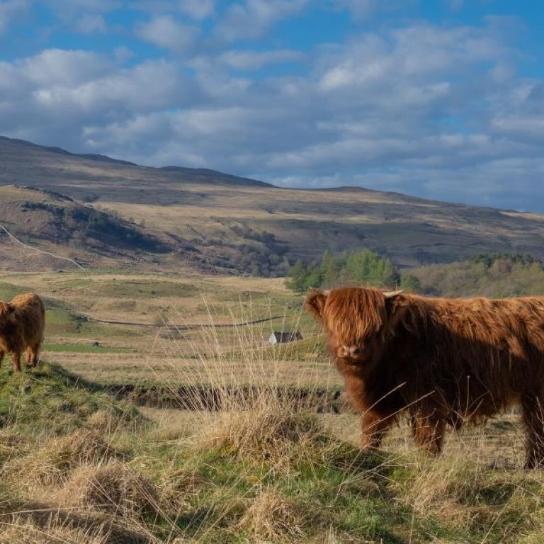 Paesaggi naturali del trekking in Scozia West Highland Way