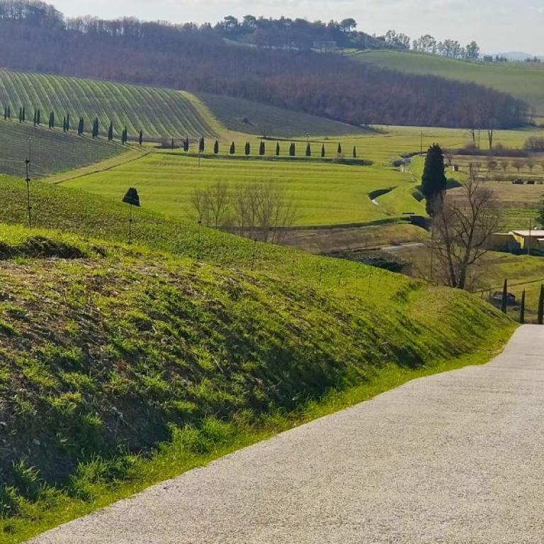 Typical Tuscany hills on the Via Medici way