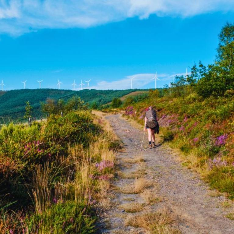 Camino Primitivo: a man walks amid scenic hills