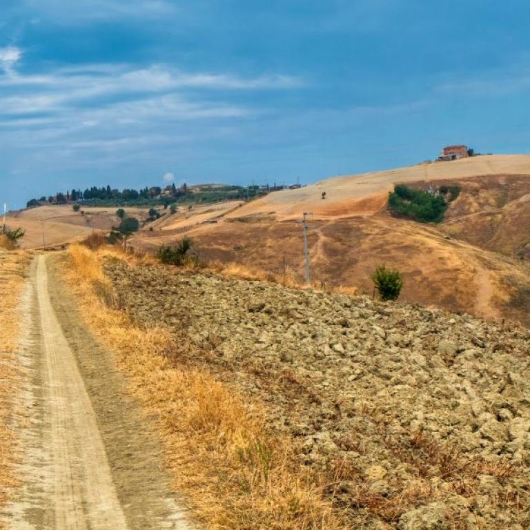 view of Under the Tuscan Sun path