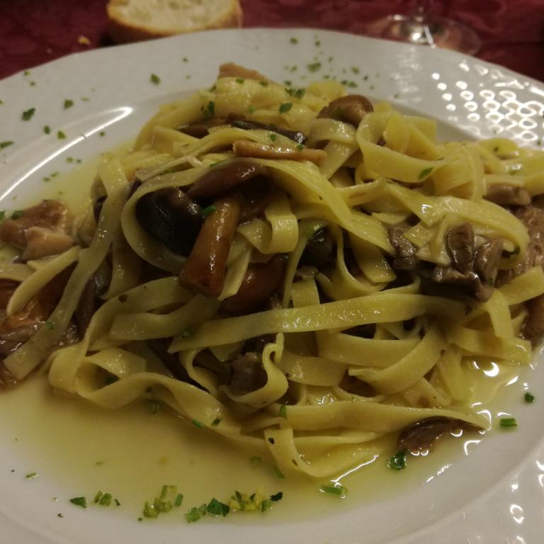 Tagliatelle ai Funghi cibo tipico in rifugio sull' alta via 1 dolomiti