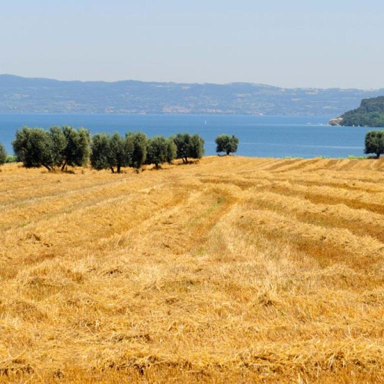 bolsena lake on Via Romea Germanica Castiglione Montefiascone