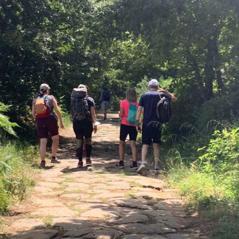 walkers in forest on Via Romea Germanica Castiglione Montefiascone