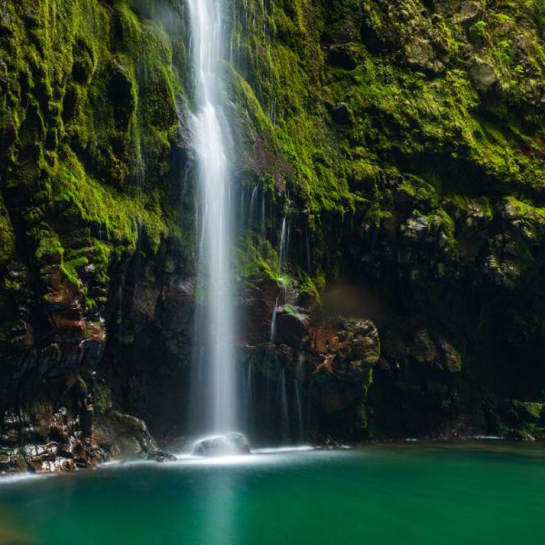 waterfall in natural reserve in madeira