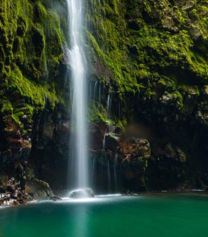 Madeira waterfall in forest