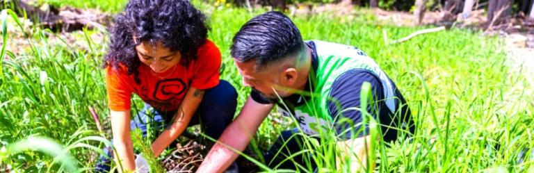 travelife certification sustainability planting trees