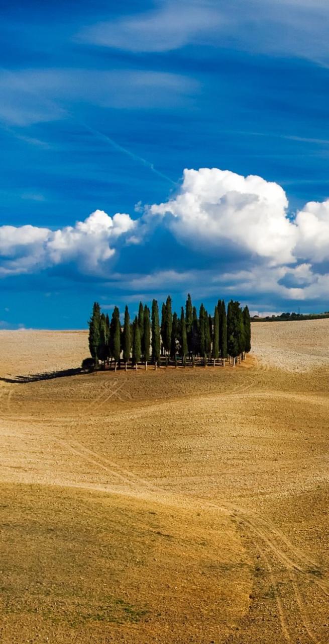 Toscana Umbria vista val d'orcia colline orizzonte