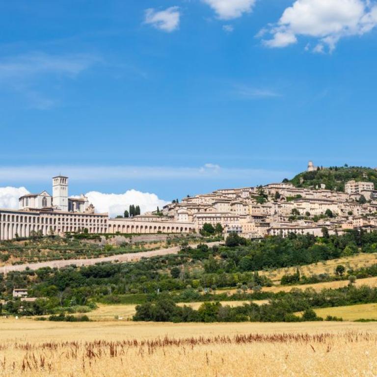 tuscany umbria asissi wheat field sunny hill