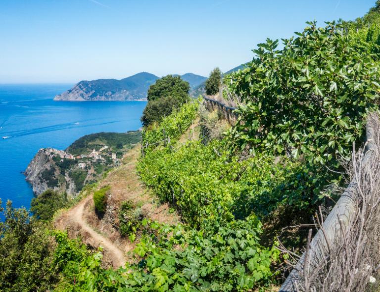 girl walking on cinque terre walking trail