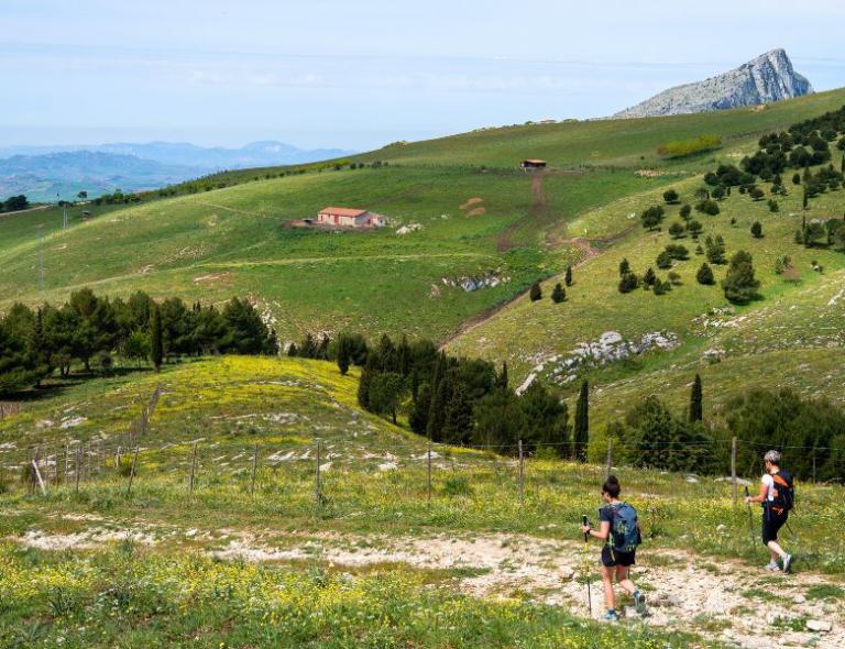 Hikers walking through the green hills of the Madonie Mountains in Sicily during a spring hiking tour