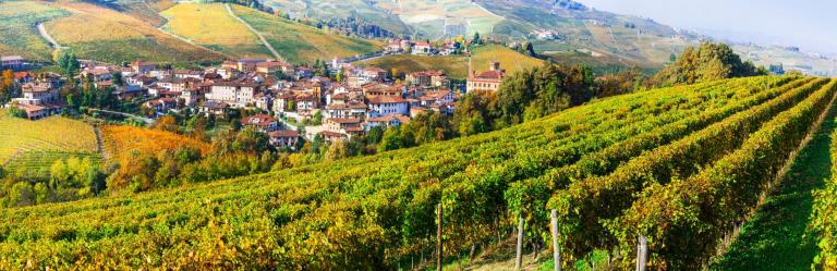 Senderismo en Piamonte entre viñedos de Barolo y Barbaresco