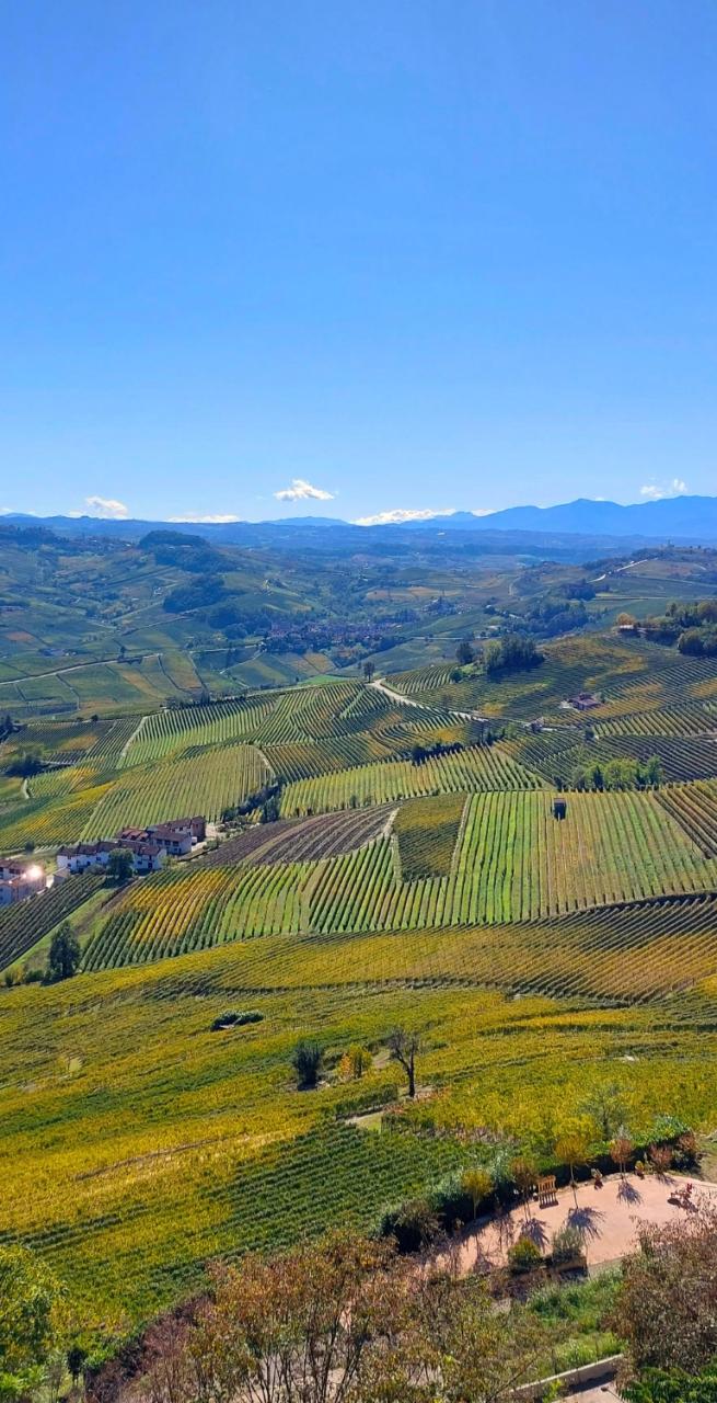 Senderismo en Piamonte entre viñedos de Barolo y Barbaresco