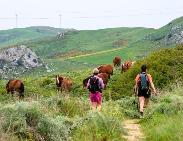 Two hikers walking through a green pasture along the Magna Via Francigena in Southern Italy