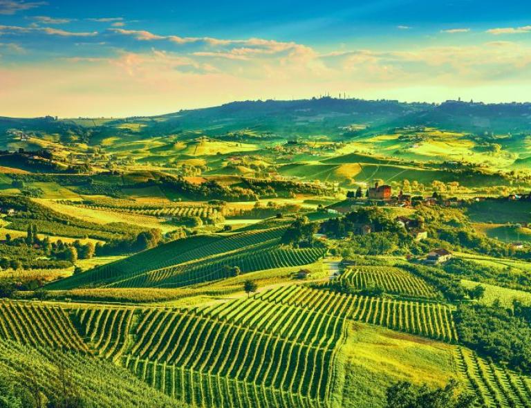 Paisaje de viñedos en colinas verdes durante unas Vacaciones en el Norte de Italia