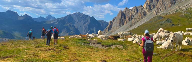 Senderistas caminando entre prados alpinos en unas Vacaciones en el Norte de Italia