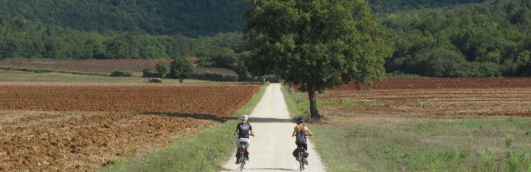 cycling holiday near tree lined path in Monteriggioni
