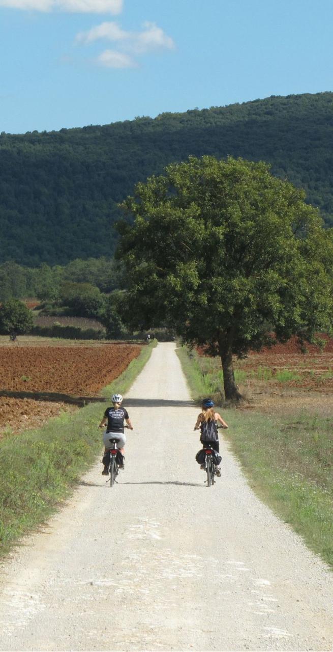 cycling holiday near tree lined path in Monteriggioni