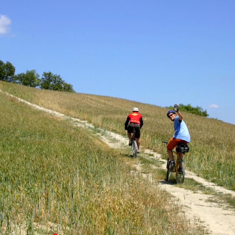 cycling tours uphill on tuscan hills