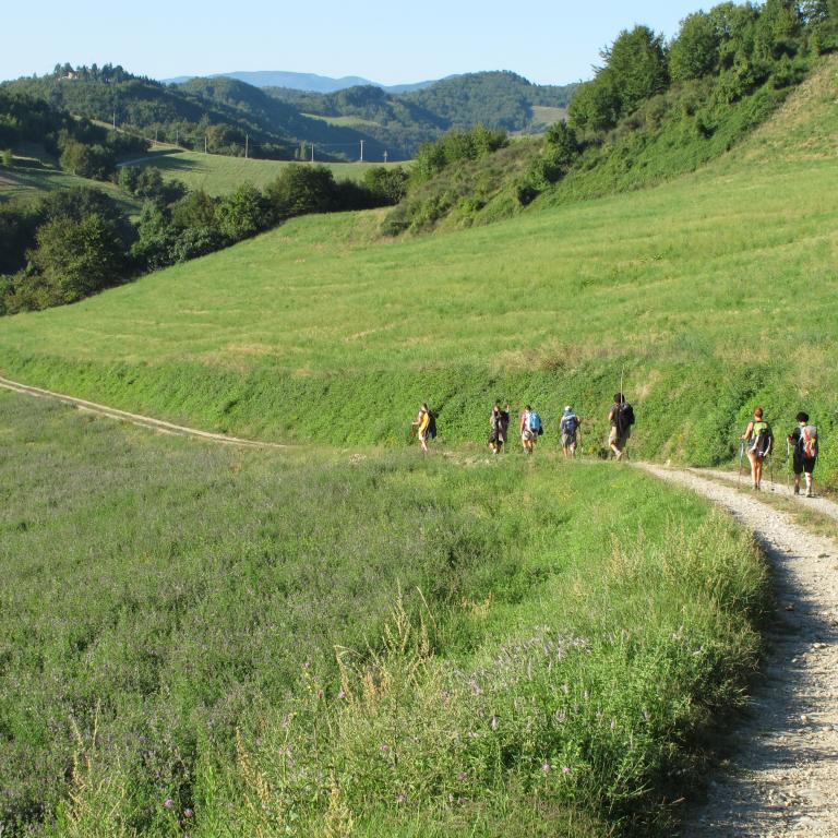 backpacking tripsgroup of hiker in green umbria