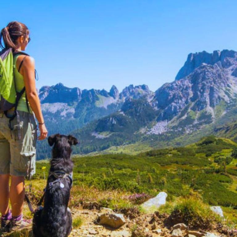 Compagni di viaggio: camminare con il cane in montagna