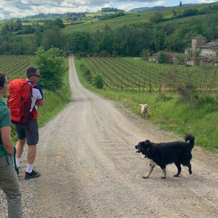 Trekking col cane in Italia tra natura e paesaggi rurali